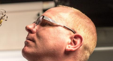 Ingi Agnarsson með _nephilia spiderminn